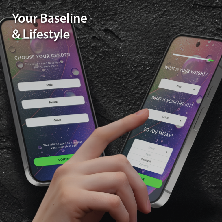 Your Baseline & Lifestyle